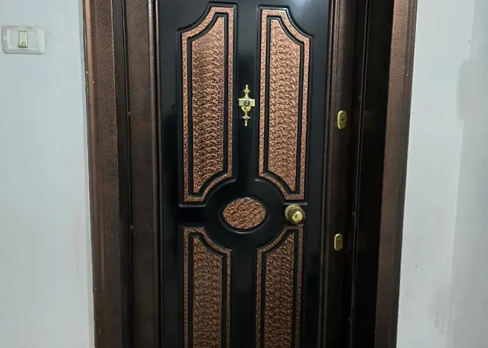 Select 7 * 티라나