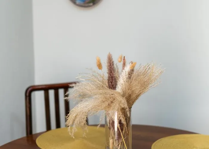 Select 7 * 티라나